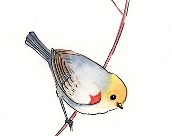 Watercolor and Ink Bird Art by Sandra Jessop, Original, illustration
