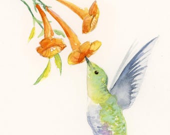 Hummingbird original watercolor art
