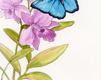 Blue butterfly on orchid, watercolor and ink line, small art