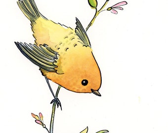 Watercolor and ink Bird Art by Sandra Jessop, original, illustration