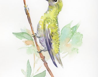 Hummingbird perching, original watercolor art