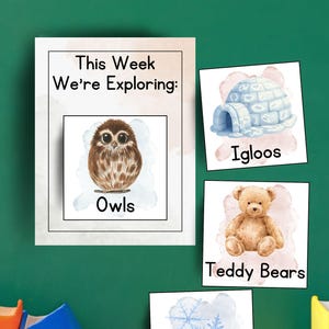 May include: A set of educational cards featuring watercolor illustrations. One large card reads 'This Week We're Exploring:' with an owl image labeled 'Owls'. Three smaller cards show an igloo labeled 'Igloos', a teddy bear labeled 'Teddy Bears', and blue snowflakes labeled 'Snowflakes'.