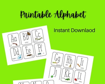 Printable Bug Alphabet Cards - Classroom Supplies
