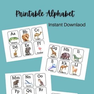 Printable Animal Alphabet Flashcards - Classroom Supplies