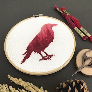Papegaaiduiker Borduren Kruissteekpatroon PDF - Etsy Nederland