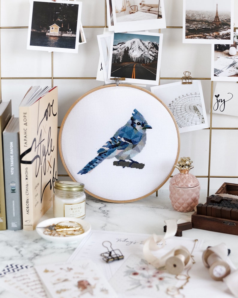 Blue Jay Bird Cross Stitch Kits Beginner Embroidery Kit Handmade Gifts for Mom Birds Embroidery Design Modern Cross Stitch Art