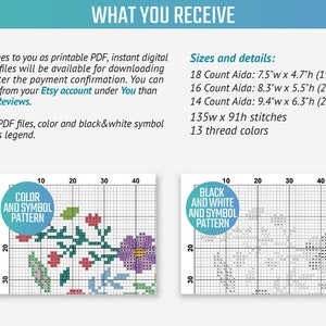 May include: Two cross-stitch patterns, one in color and one in black and white, showing a floral design with leaves and flowers. The patterns are on a grid with numbers along the top and side. The text "Color and Symbol Pattern" and "Black and White and Symbol Pattern" are in circles on the patterns. The text "135w x 91h stitches" and "13 thread colors" are listed below the patterns.