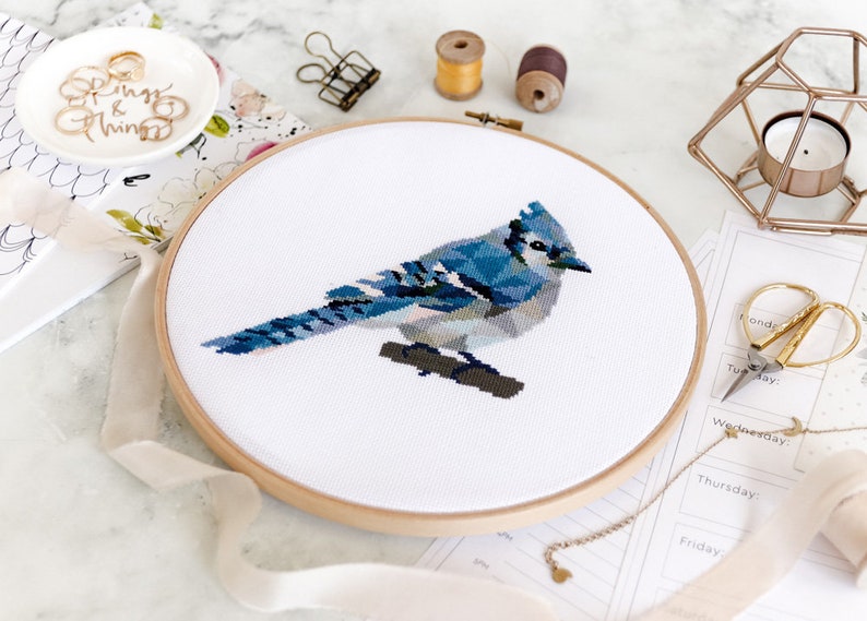 Blue Jay Bird Cross Stitch Kits Beginner Embroidery Kit Handmade Gifts for Mom Birds Embroidery Design Modern Cross Stitch Art