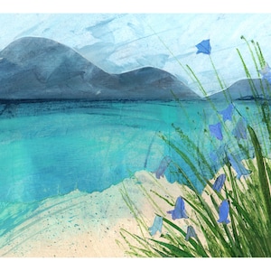 Harebells at Luskentyre