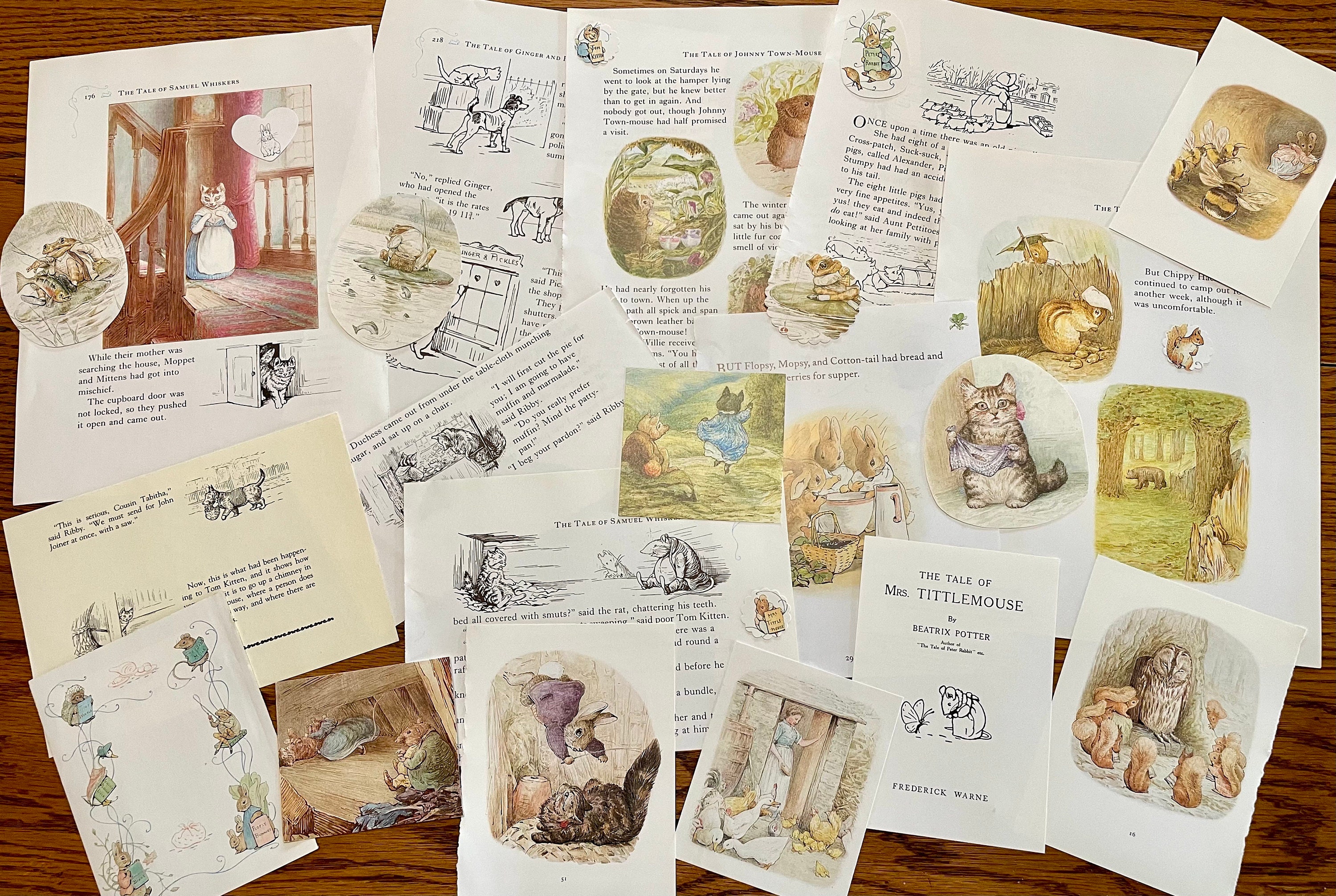 Beatrix Potter Peter Rabbit and Friends 25 Pack Ephemera 3 Bonus ...