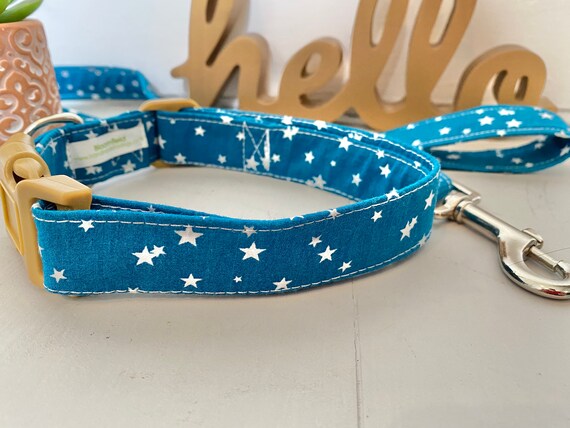 blue dog collar and lead