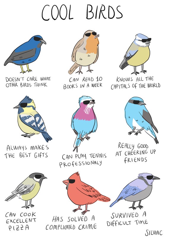 Really Cool Birds