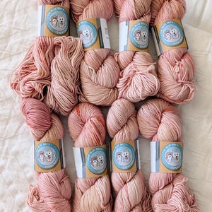 May include: Eight skeins of light pink yarn arranged in two rows. Each skein features a paper label with the text The Blue Brick Dyeworks and an illustration of two dogs. The yarn has a subtle variegated texture with hints of darker pink and orange.