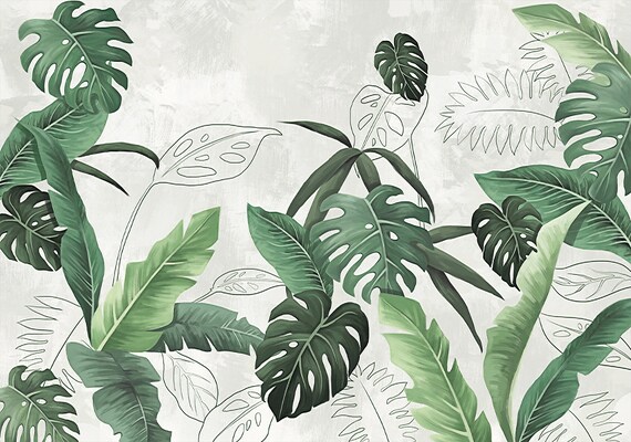 Minimal plant HD wallpapers  Pxfuel