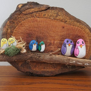 Birds, Painted Rocks, Mounted, Free Shipping