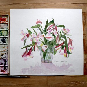 Pintura original em aquarela de Alstroemeria rosa por Penny Silverthorne