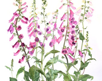 Fingerhut original Aquarell Malerei
