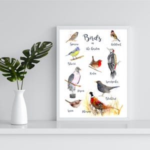 Garden Birds Art Print