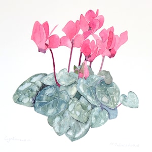 Pink Cyclamen original watercolour