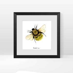 Bumble Bee Framed Square Print