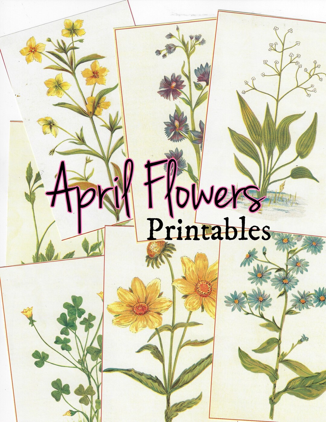 NEW April Flowers Journal Cards Printables/ Vintage 1894 Florals - Etsy