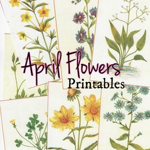 NEW April Flowers journal cards printables/ vintage 1894 florals
