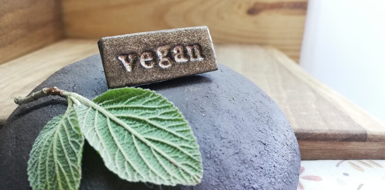 Artisan ceramic vegan brooch