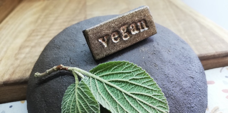 Artisan ceramic vegan brooch