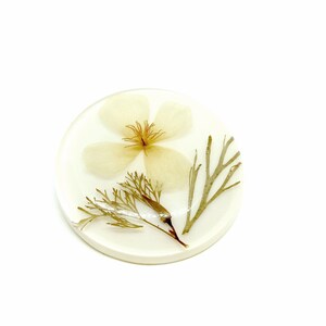 May include: A white round resin coaster with a pressed white flower and brown stems.