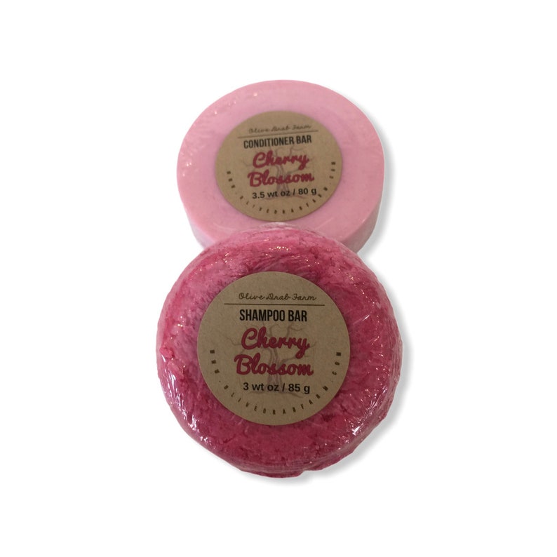 Solid Shampoo Bar Ph Balanced Shampoo Sulfate Free Shampoo Etsy