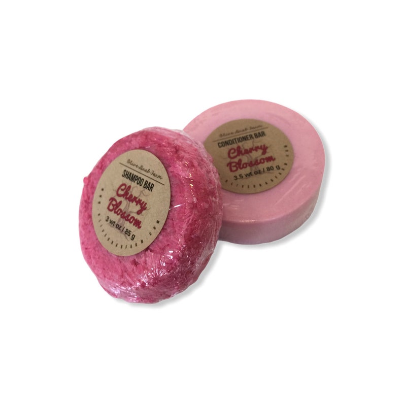 Solid Shampoo Bar Ph Balanced Shampoo Sulfate Free Shampoo Etsy