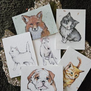 Mini dipinti, gatti, cani, volpe, animali domestici, pittura, piccolo, carino, acquerello