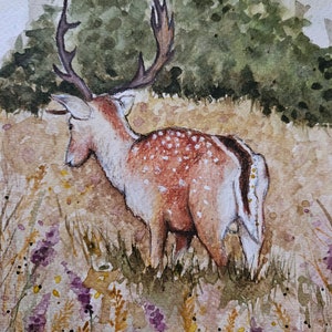 Cervo, cervo rosso, arte originale, acquerello, prato, bosco, fauna selvatica britannica
