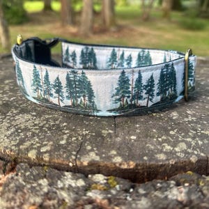 Pacific Northwest, Adventure Dog Collar, 1.5 Inch Dog Collar, Durable Dog Collar, Mountain Dog Collar, PNW, Forest Dog Collar, Ready to Ship