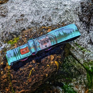 Wolf Compass Adventure Dog Collar: Durable Recycled Canvas, 1.5 Inch