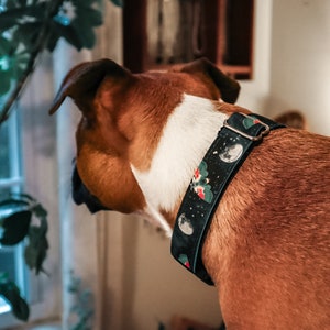 Luna Moth Dog Collar: Recycled Canvas, Eco-Friendly