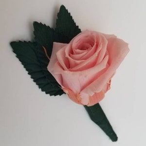 Real Rose Boutonniere Pin On, Pink Real Rose Buttonhole, Wedding Prom Party Birthday Buttonhole, Sweet 16
