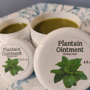 Plantain Ointment