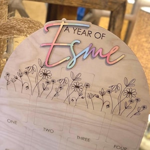 Teken eerste verjaardag, teken een jaar, verjaardagsfotobord, eerste verjaardag wilde bloemen, gepersonaliseerd babycadeau, shes a Wildflower-feestje
