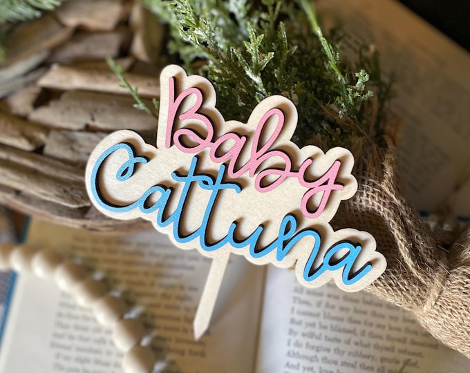 Gender Reveal Cake Topper