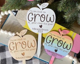 Teacher Gift, Teacher Plant Stake, Helping Me Grow Gift, Personalized Teacher Gift, Student Teacher, Teacher Appreciation Gift, School Gift