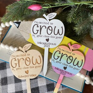 Lehrer Geschenk, Lehrer Pflanzeneinsatz, mir helfen, Geschenk wachsen, personalisierte Lehrer Geschenk, Schüler Lehrer, Lehrer Wertschätzung Geschenk, Schulgeschenk