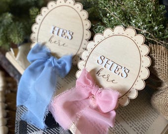 Baby Gender Reveal Sign