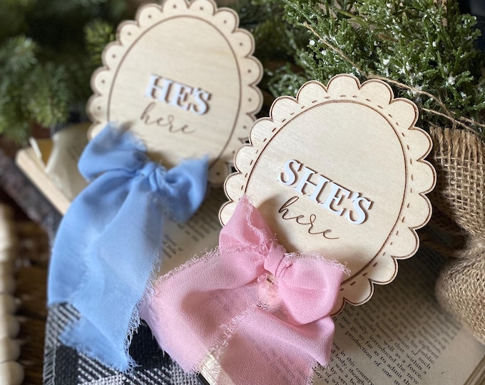 Baby Gender Reveal Sign