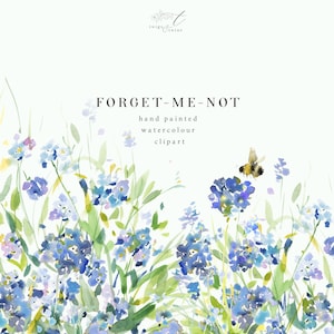 Ensemble de cliparts fleurs aquarelles de Myosotis - Dessins botaniques avec arrière-plans transparents