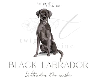 Black Labrador watercolor dog illustration graphic - Commercial use - with and without drop shadow - transparent background png
