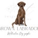 see more listings in the Single Dogs section