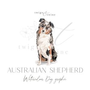 Australian Shepherd watercolor dog illustration graphic - Commercial use - with and without drop shadow - transparent background png
