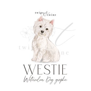 Westie Aquarell Hund Illustration - Kommerzielle Nutzung - mit und ohne Schlagschatten - Transparenter Hintergrund