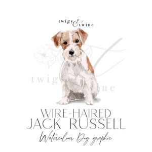 Illustrazione grafica acquerello di cane Jack Russell a pelo duro - Uso commerciale - con e senza ombra - sfondo trasparente png